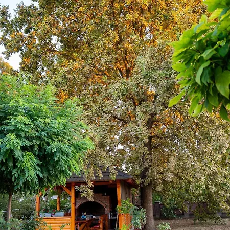 Vakantiehuis Vasilis House, Batkovic